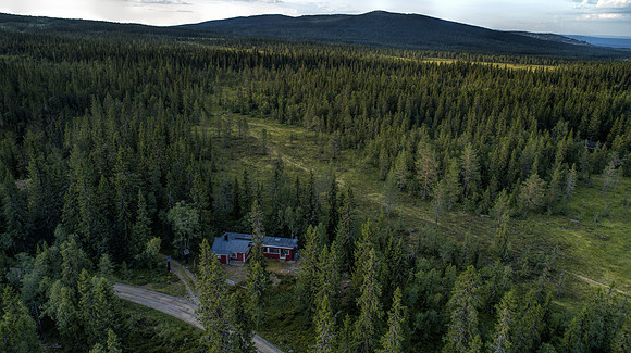 DJI_0559_topclar_neutgrad