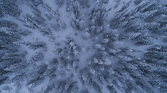 DJI_0279_onlysharp